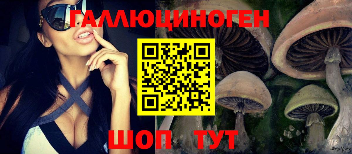 Псилоцибиновые грибы Psilocybe Бийск