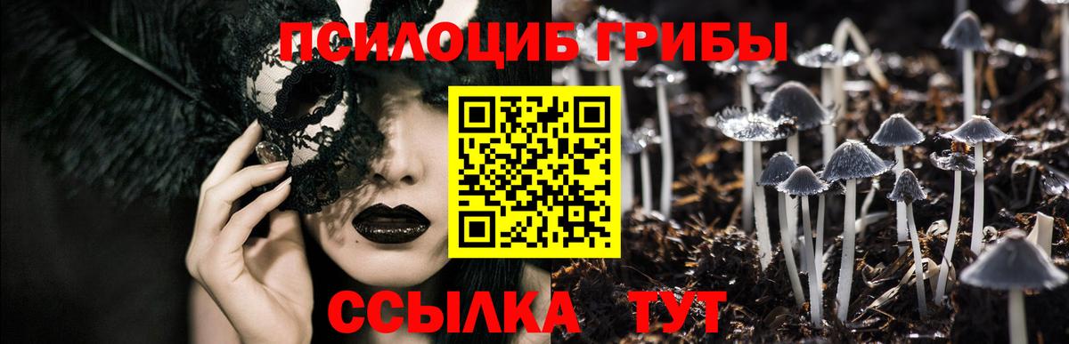 Галлюциногенные грибы Cubensis  Вход с VPN  Бийск 