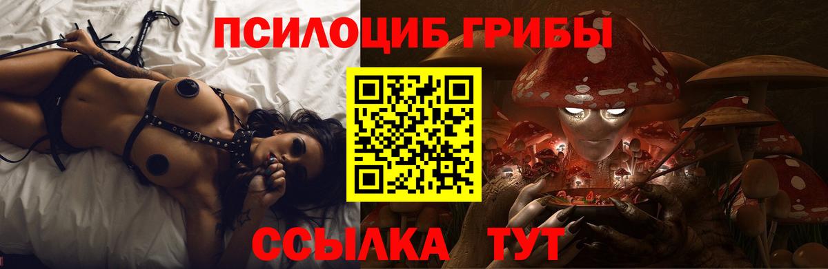 Галлюциногенные грибы мицелий Бийск